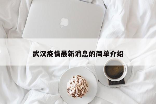 武汉疫情最新消息的简单介绍